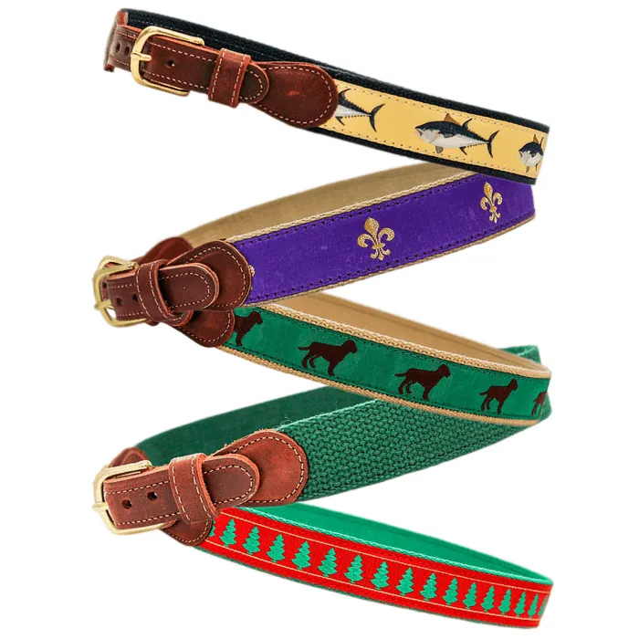 Bailey Boys Buddy Belt in Chocolate Lab