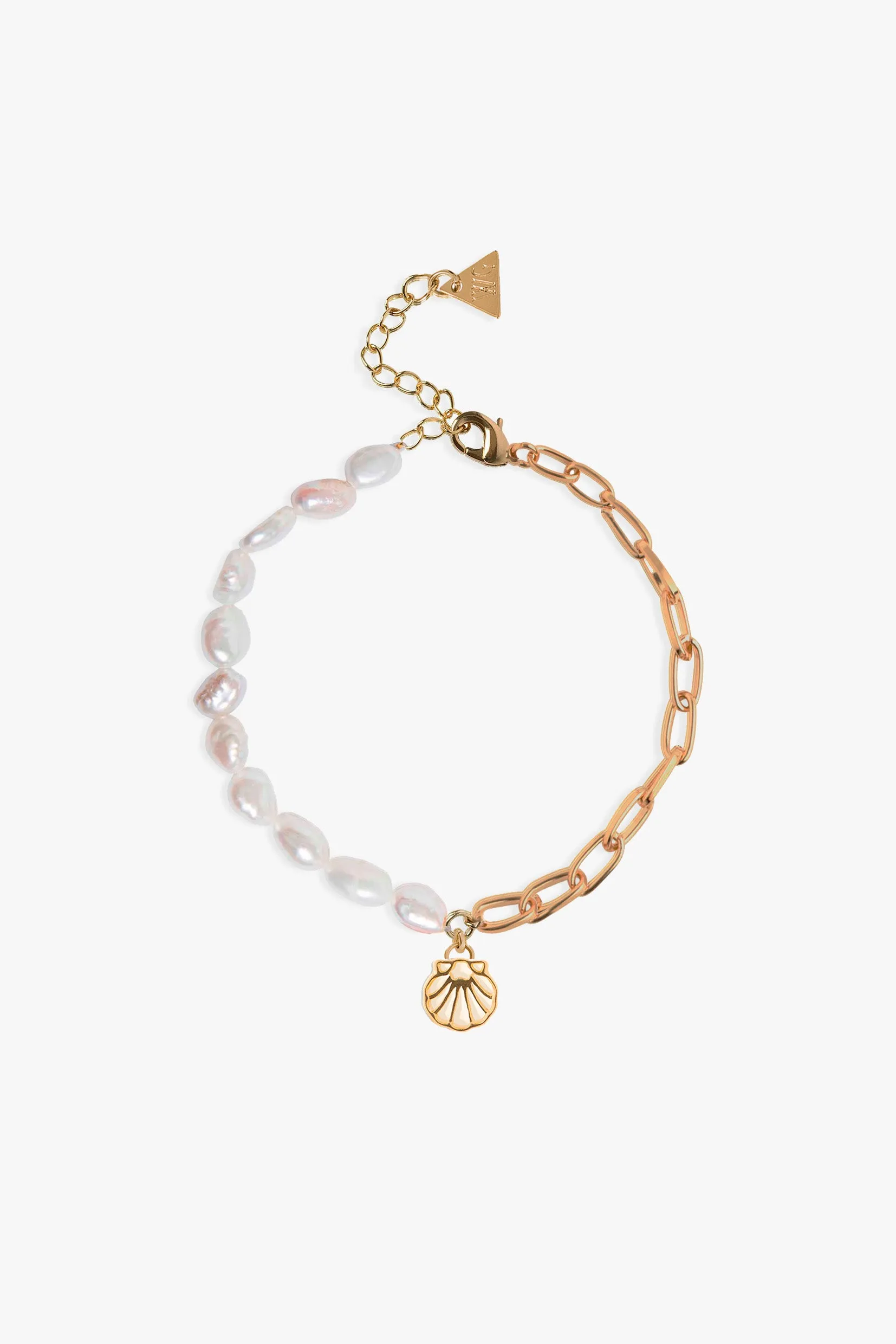 Shell Anklet